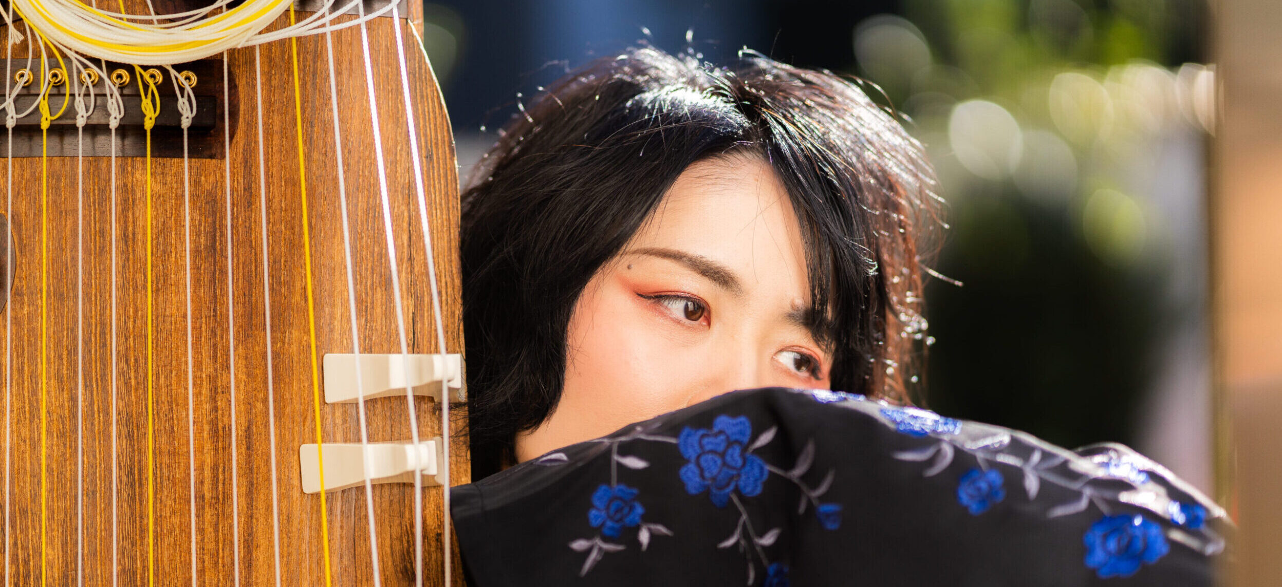 箏 演奏家 木村麻耶（きむらまや）箏．二十五絃箏